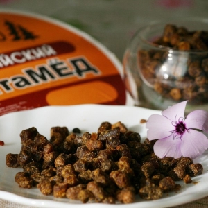 Перга (пчелиный хлеб) - 100 гр.