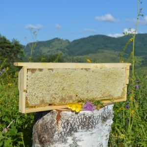 Мёд в сотах подарочный в деревянной рамке
