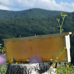 Мёд в сотах в рамке разнотравье, 2 кг